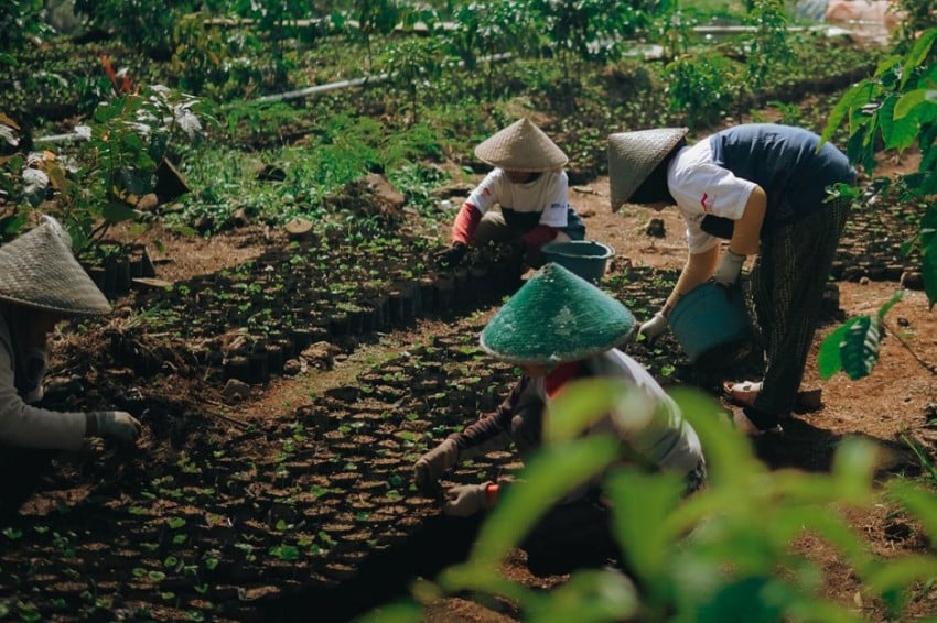 program-desa-sejahtera-astra-cikajang-berhasil-tingkatkan-kesejahteraan-petani-kopi-garut-esd.jpg